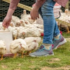 Muck Womens Outscape Lace Up Shoes - Dark Grey/Teal/Pink 11 Muck Womens Outscape Lace Up Shoes - Dark Grey/Teal/Pink -Muck muck women s outscape lace up shoes dark grey teal pink 116